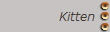 Kitten